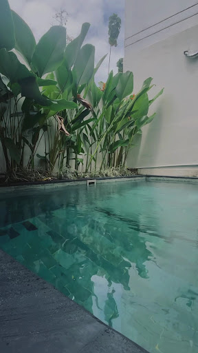 Photo from customer review